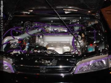 import_mega_show_chicago Show Images Page 2