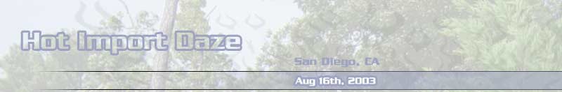 Hot Import Daze