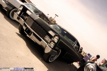 RatCityRuckusShow Show Images Page 2