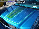 sema Show Images Page 2