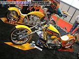 sema Show Images Page 4