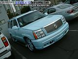 sema Show Images Page 6