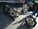 sema Show Images Page 10