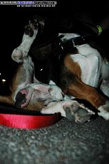 ///RA All-Star Event 