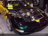 sema Show Images Page 4