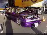 sema Show Images Page 6