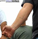 weeniestock Show Images Page 4