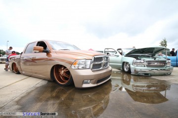 Siknic Show Images Page 2