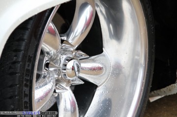 Siknic Show Images Page 3