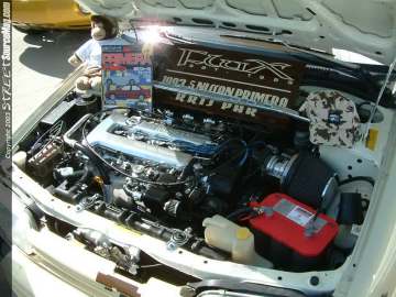 Showoff Show Images Page 3