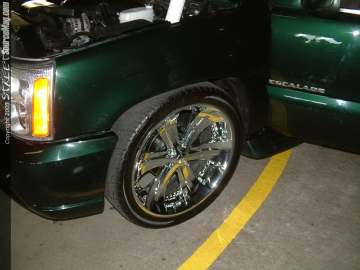 Showoff Show Images Page 4