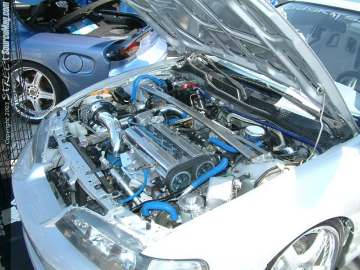 Showoff Show Images Page 5