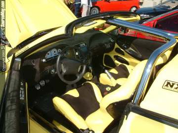 Showoff Show Images Page 5