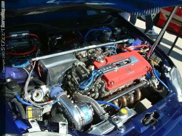 Showoff Show Images Page 5