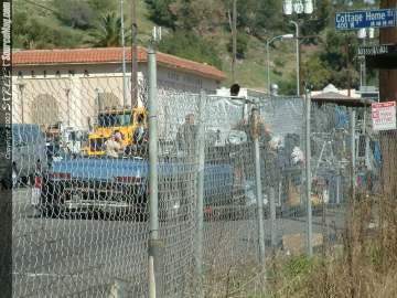 Showoff Show Images Page 5