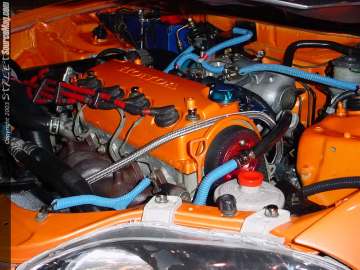 WOWChicago Show Images Page 2