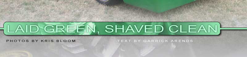 Laid Green, Shaved Clean