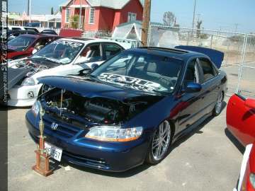 fff Show Images Page 2