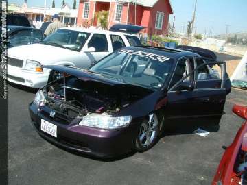 fff Show Images Page 3