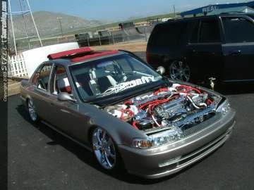 fff Show Images Page 3