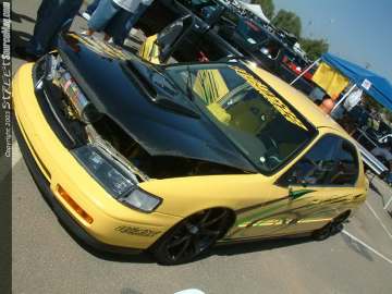 fff Show Images Page 4