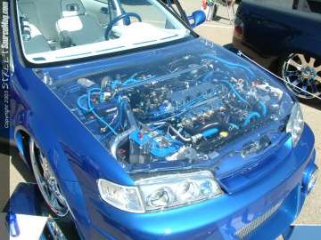 fff Show Images Page 4