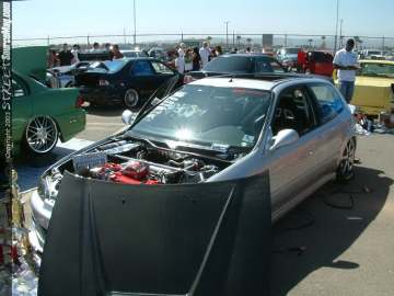 fff Show Images Page 4