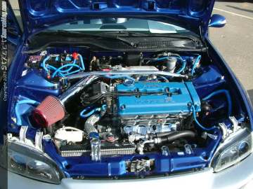 fff Show Images Page 8