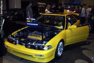 importinvasion Show Images Page 5