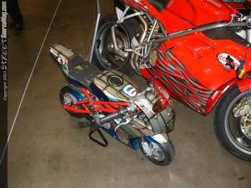 ix Show Images Page 8