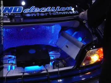 wowchicago Show Images Page 2