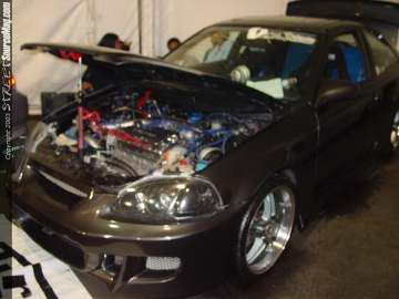 HINdelmar Show Images Page 2