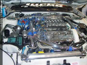 HINdelmar Show Images Page 2