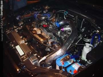 HINdelmar Show Images Page 4