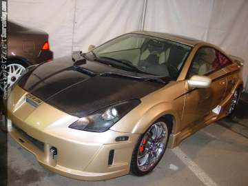 HINdelmar Show Images Page 5