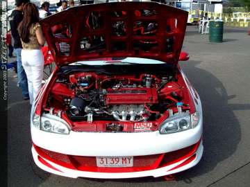 Limerock Show Images Page 4