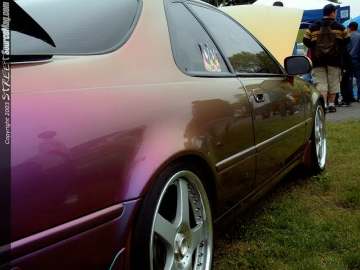 Limerock Show Images Page 4