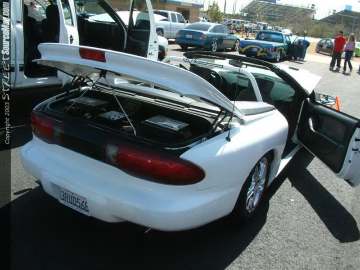 FFF Show Images Page 5