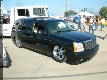 FFF Show Images Page 14