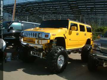 FFF Show Images Page 15