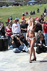 laydout06 Show Images Page 3