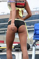 Nopi06 Show Images Page 2