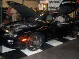 HIN-mateo Show Images Page 3