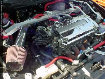 Jacksonville Show Images Page 1