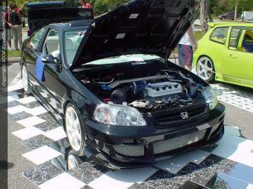 Jacksonville Show Images Page 1