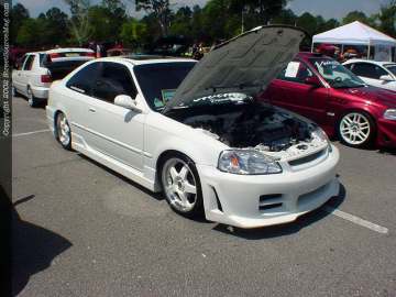 Jacksonville Show Images Page 1