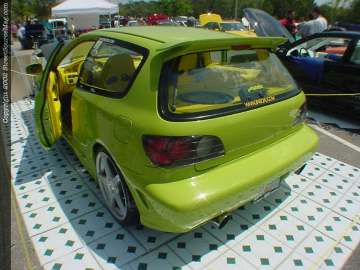 Jacksonville Show Images Page 2