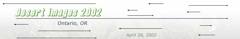 Desert Images 2002