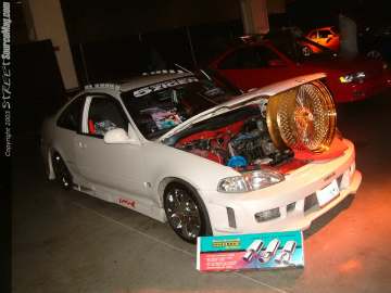 hinseattle Show Images Page 8