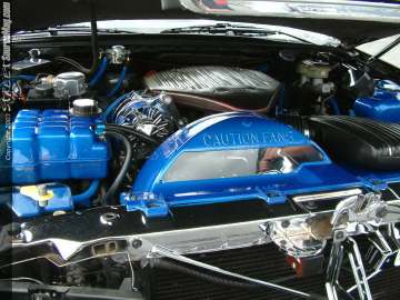 swift Show Images Page 2